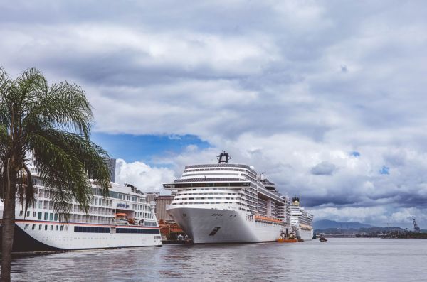 Comment organiser une croisière pour explorer les forêts tropicales en Amérique du Sud?