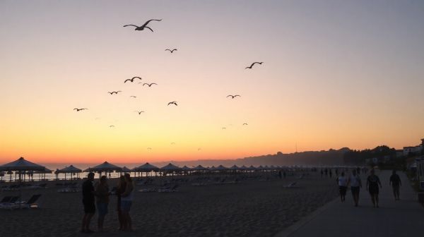 Gérer votre séjour à La Tranche sur Mer : secrets d'une conciergerie efficace