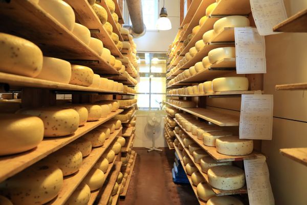 Où participer à des ateliers de fabrication de fromage en France?